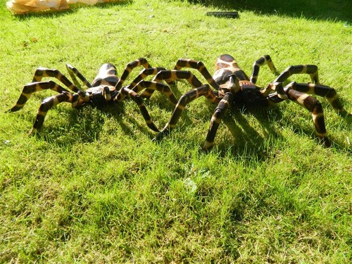 Wooden spider carving hand - carving,