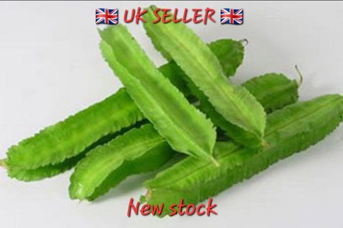 Thai winged bean seeds - thai,
