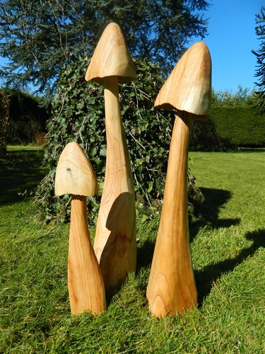 Wooden mushroom carving set - -,